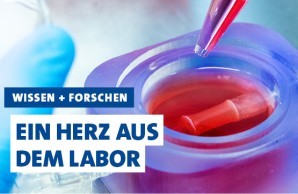 Herz aus dem Labor