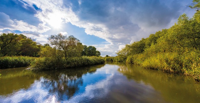 Fluss und Ufer mit Bäumen