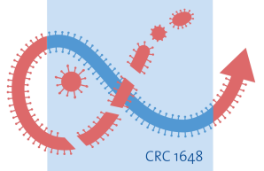 CRC 1648