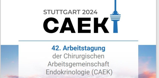 CAEK 2024