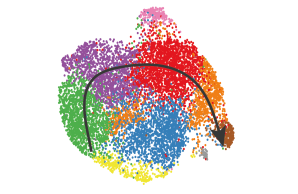 T cell plasticity