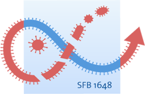 SFB 1648 "Neu auftretende Viren"