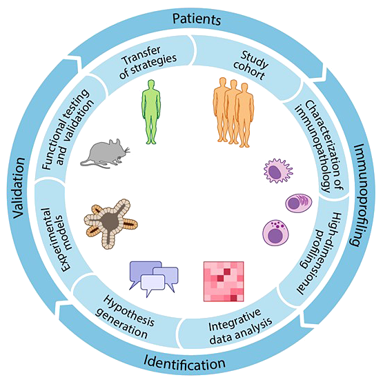 HCTI Cycle