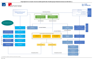 Organigramm Hebammenwissenschaft 